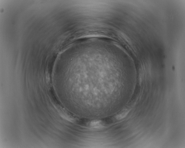 X0000070360173200606091040