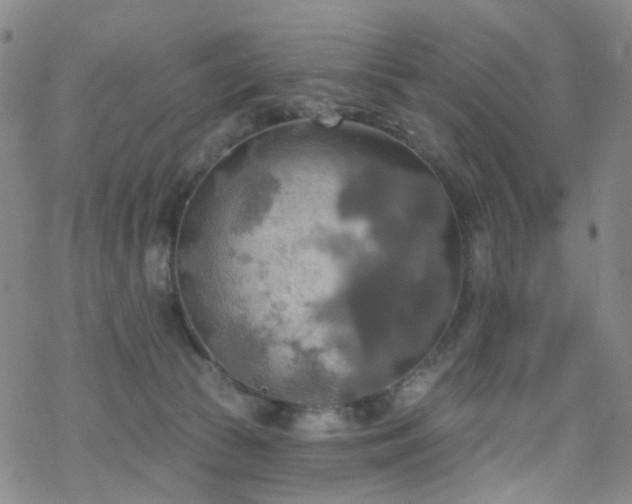 X0000070360177200606091041