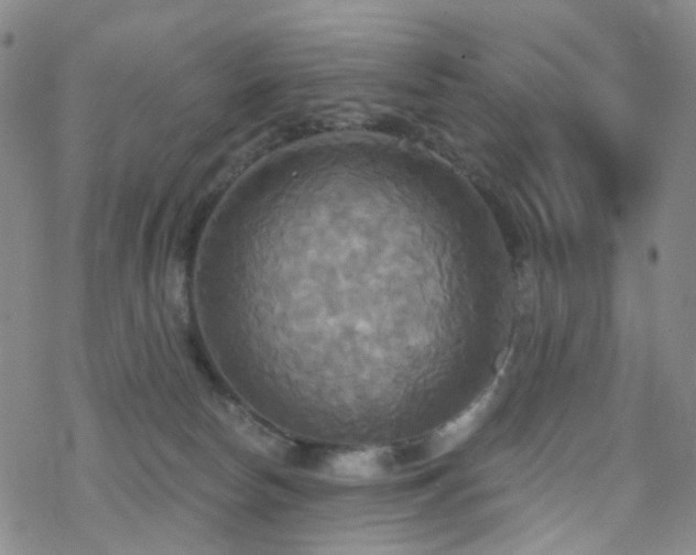 X0000070360178200606091041