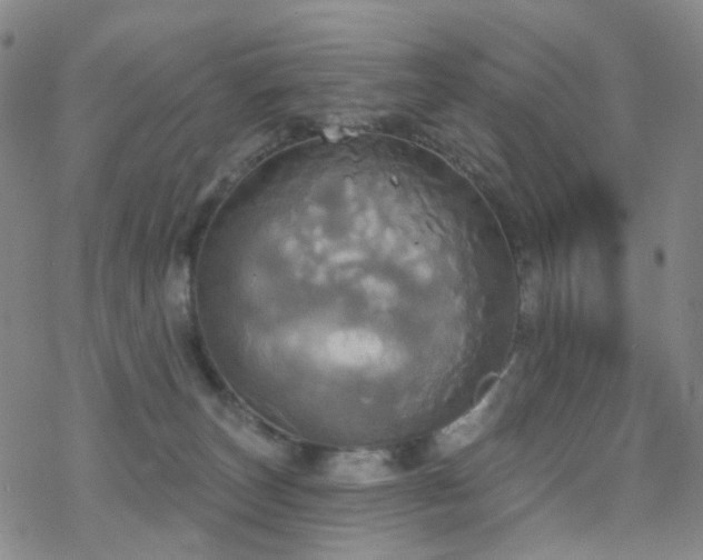 X0000070360179200606091041