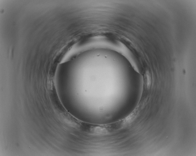 X0000070360180200606091041