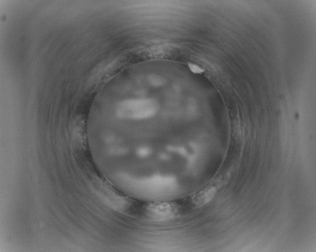 X0000070360181200606091041