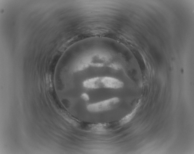 X0000070360182200606091041