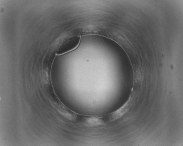 X0000070360183200606091041