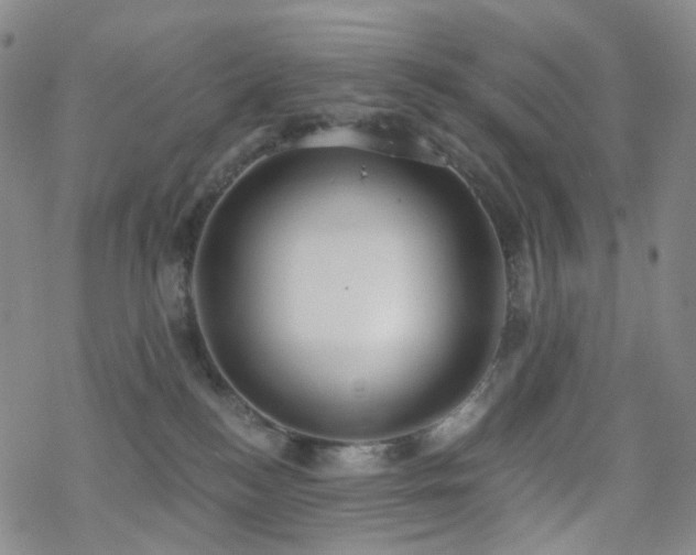 X0000070360184200606091041