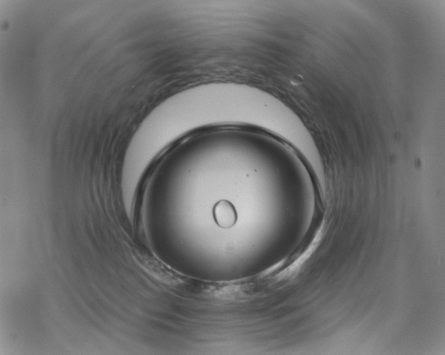 X0000070360186200606091041