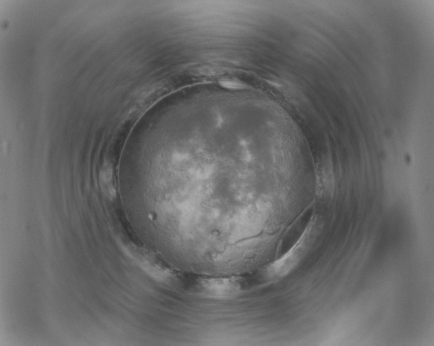 X0000070360187200606091041