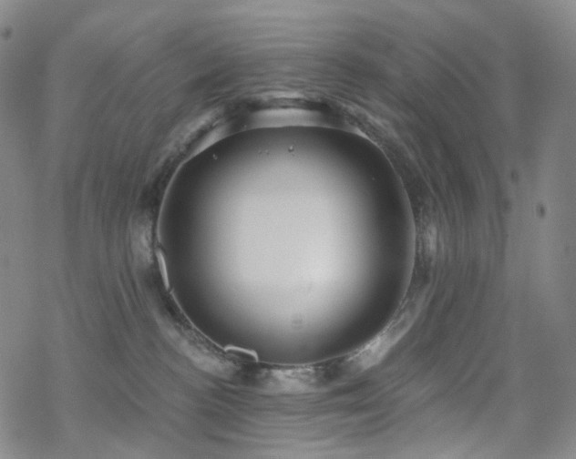 X0000070360188200606091041