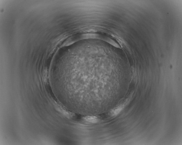 X0000070360189200606091041