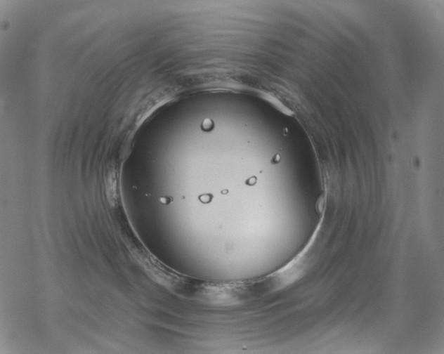 X0000070360190200606091041