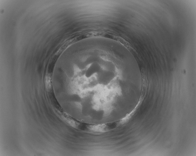 X0000070360191200606091041