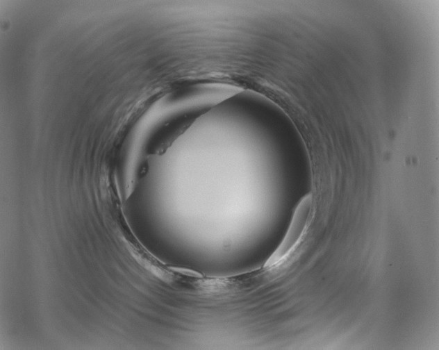 X0000070360192200606091041