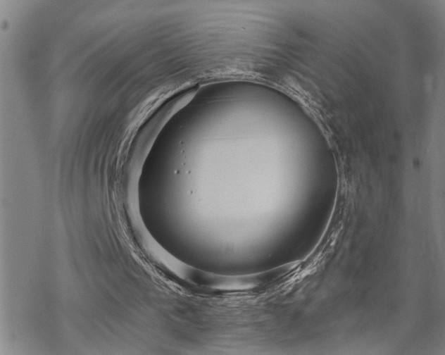 X0000070360193200606091040