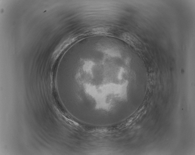 X0000070360194200606091040