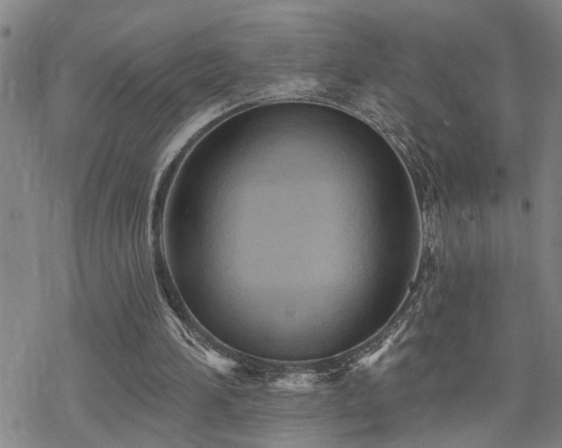 X0000070360196200606091040