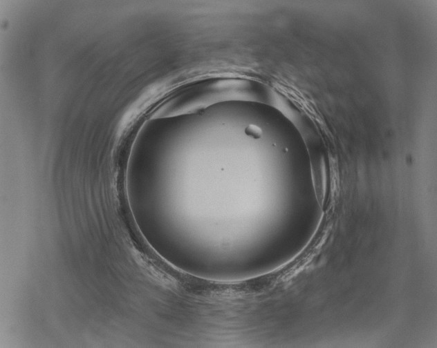 X0000070360197200606091040