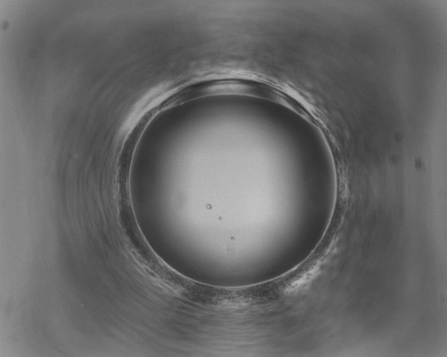 X0000070360199200606091040