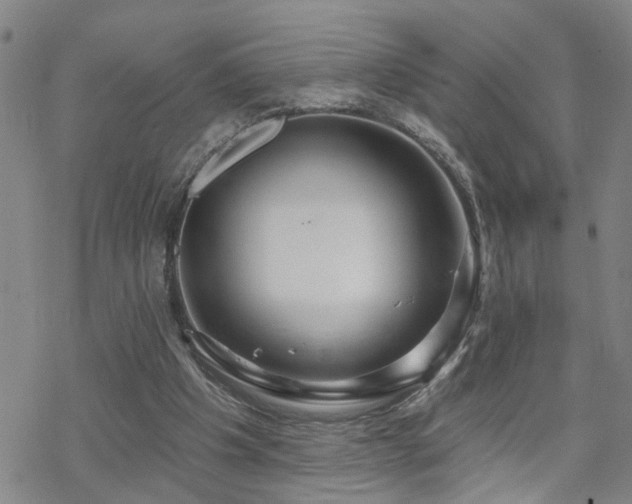 X0000070360201200606091040