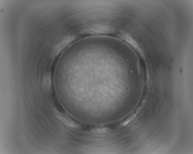 X0000070360202200606091040