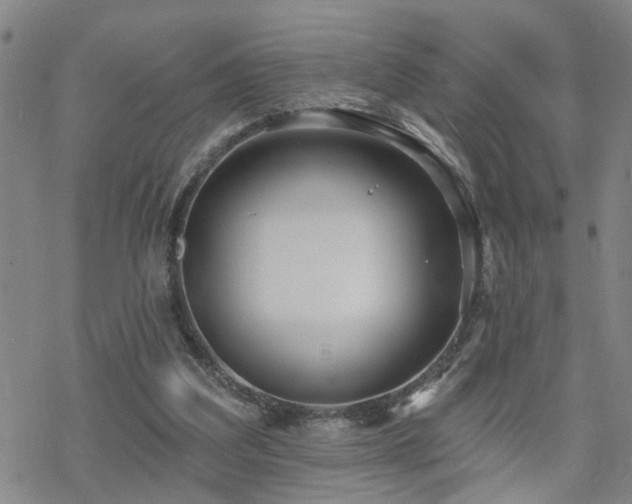 X0000070360203200606091040