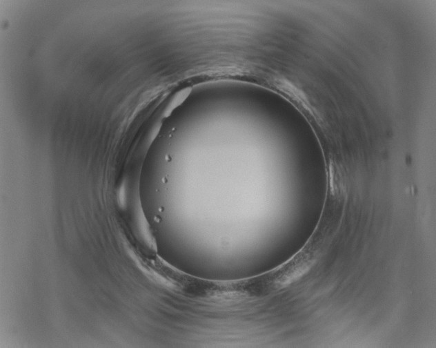 X0000070360205200606091040