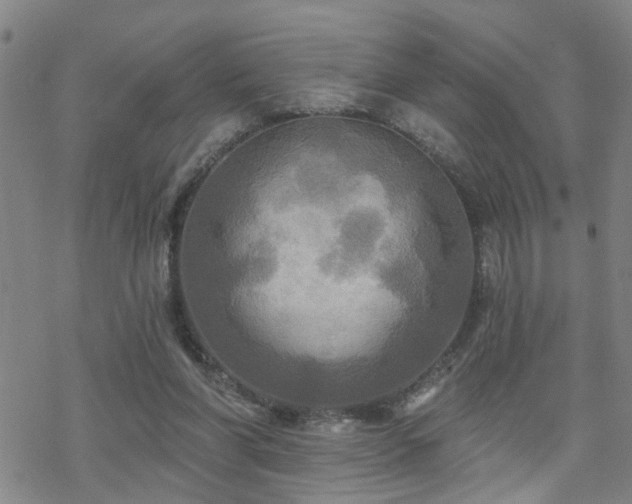 X0000070360206200606091040