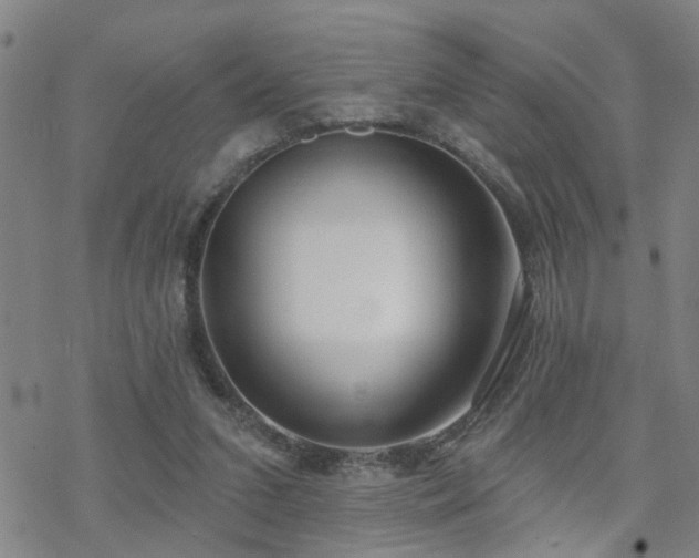 X0000070360207200606091040