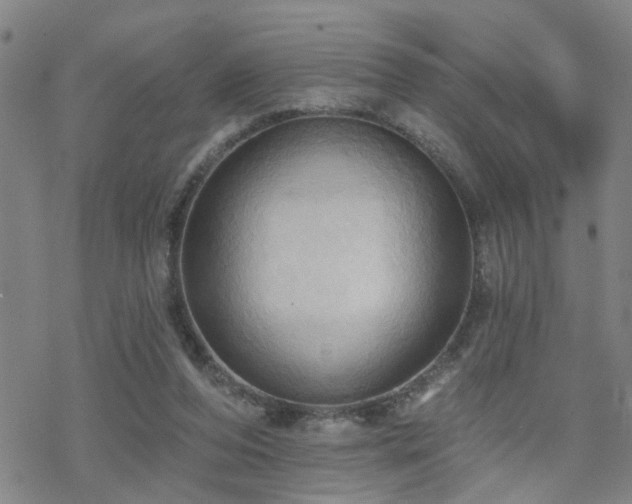 X0000070360208200606091040