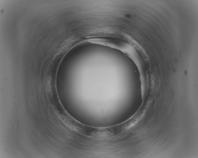 X0000070360209200606091040