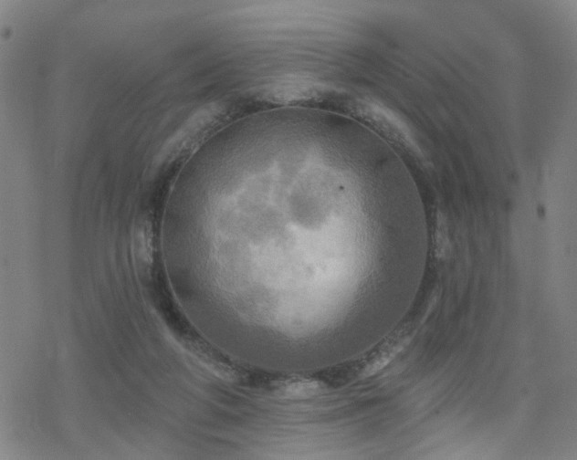 X0000070360210200606091040