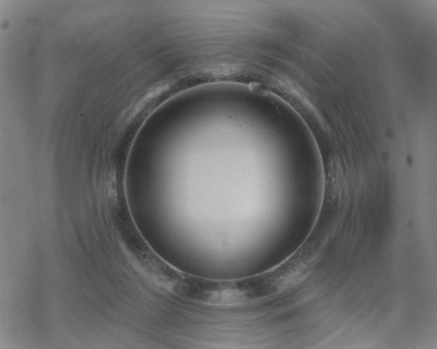 X0000070360212200606091040