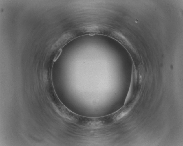 X0000070360213200606091040