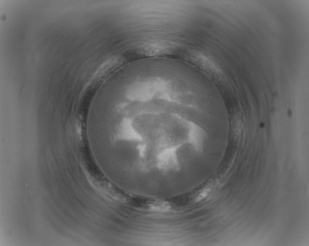 X0000070360214200606091040