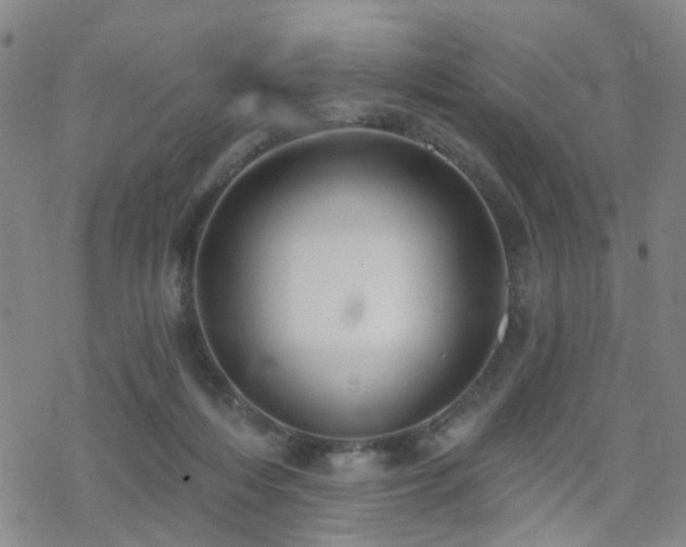 X0000070360216200606091040