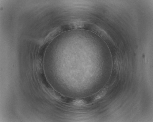 X0000070360218200606091040