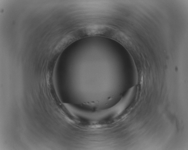 X0000070360219200606091040