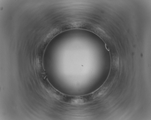 X0000070360220200606091040