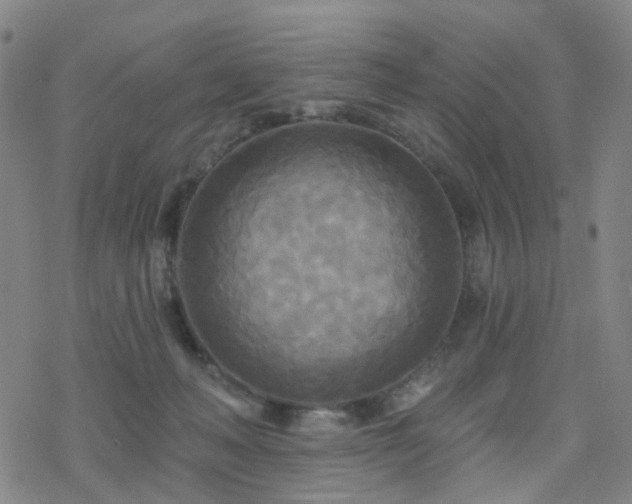 X0000070360222200606091039