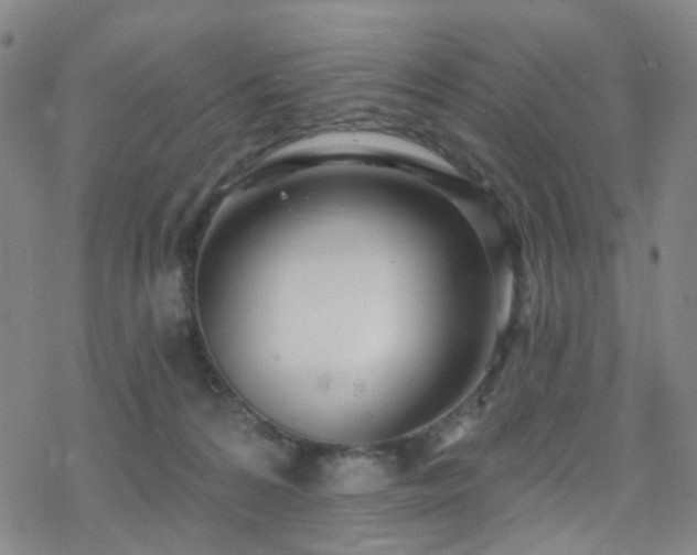 X0000070360224200606091039