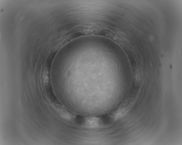 X0000070360226200606091039