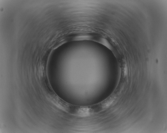 X0000070360227200606091039