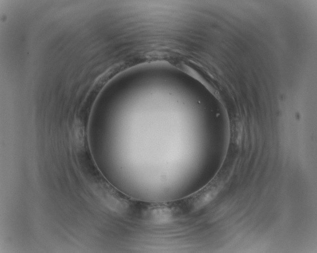 X0000070360228200606091039