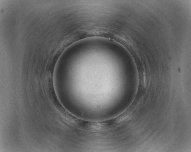 X0000070360229200606091039