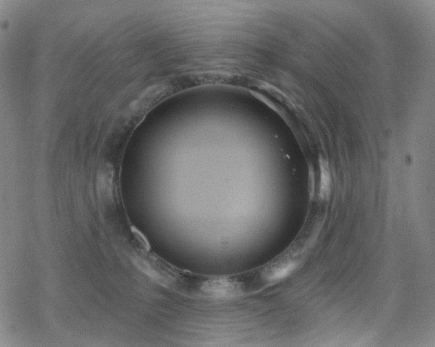 X0000070360231200606091039