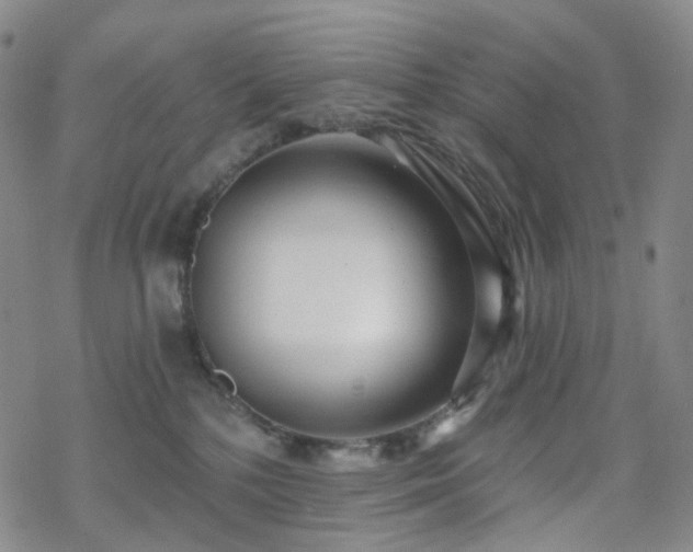 X0000070360232200606091039