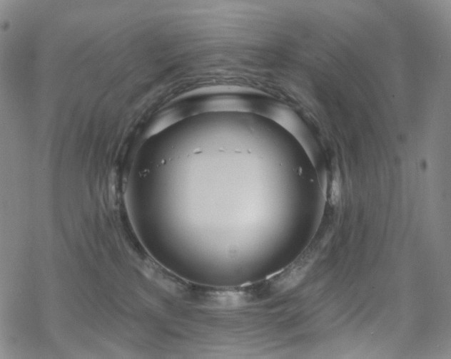 X0000070360233200606091039