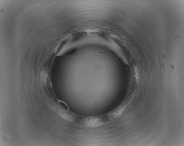 X0000070360235200606091039