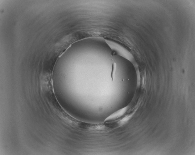 X0000070360237200606091039