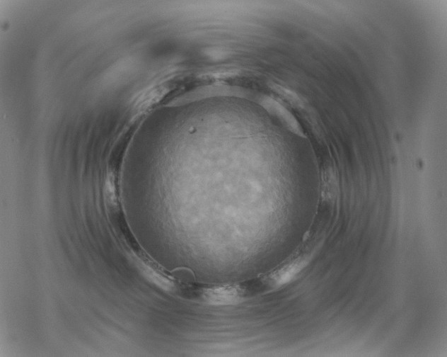 X0000070360238200606091039