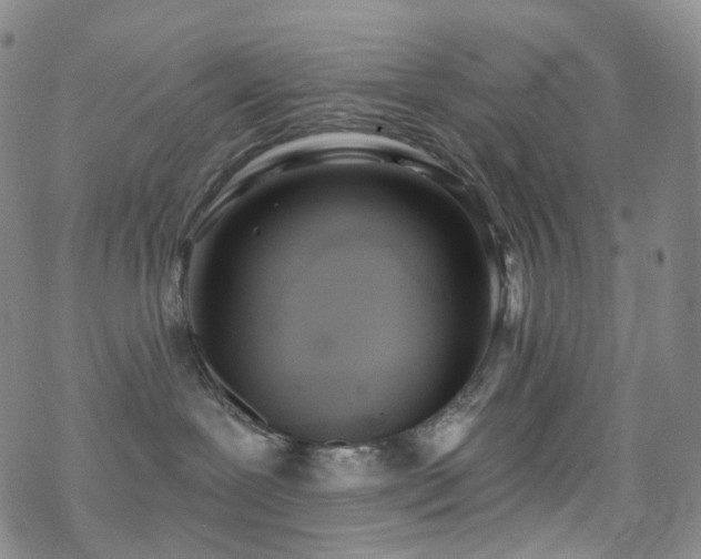 X0000070360239200606091039